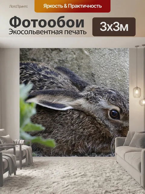 Фотообои Кролик