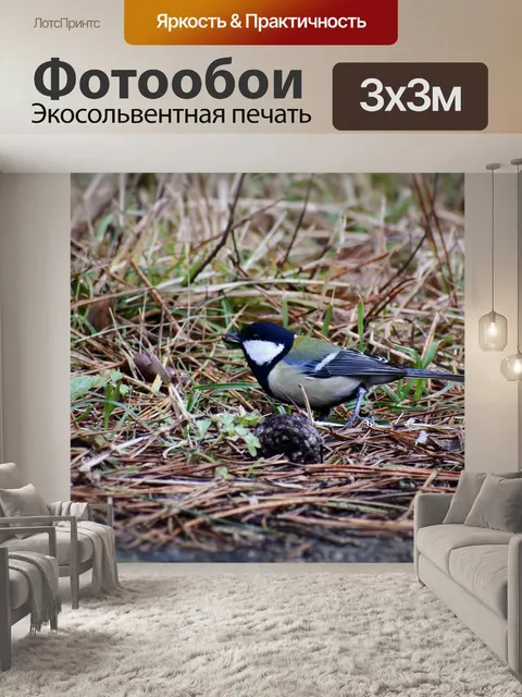 Фотообои Животное