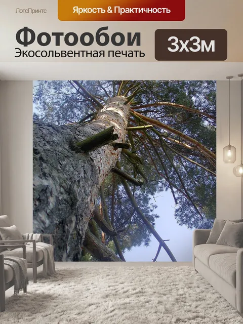 Фотообои Дерево