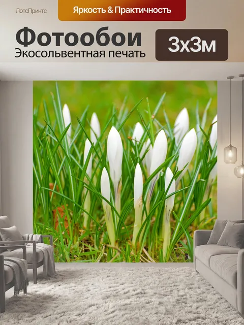 Фотообои Белые весенние цветы