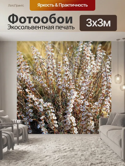 Фотообои Цветы