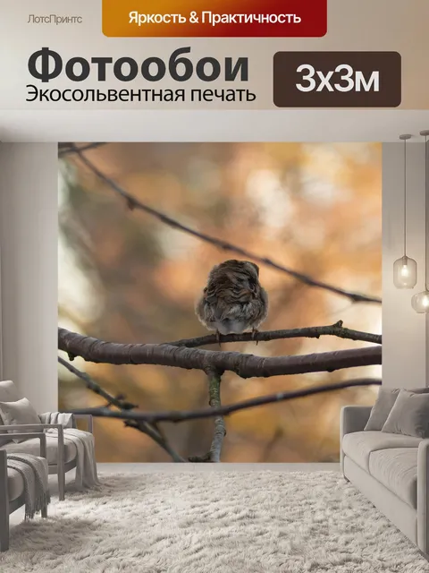 Фотообои Полевой воробей