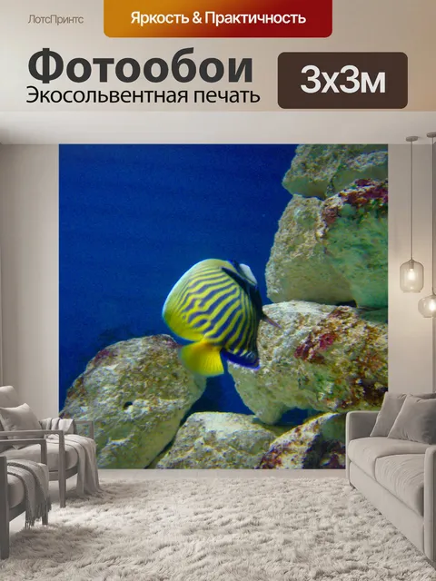 Фотообои Fish