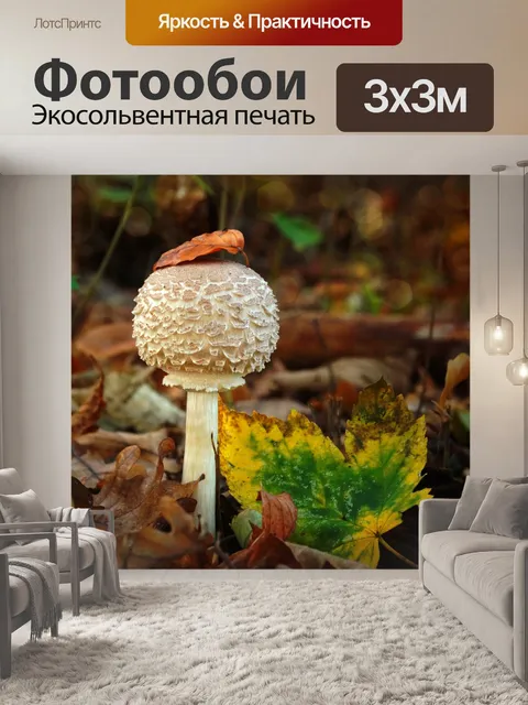 Фотообои Грибной зонт осенняя листва
