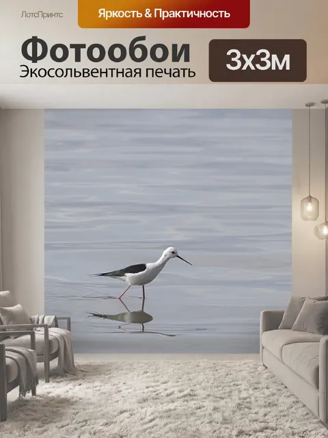 Фотообои Птица