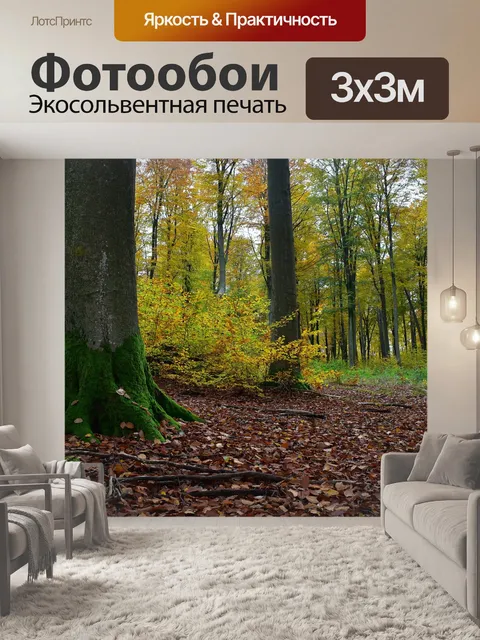 Фотообои Лес