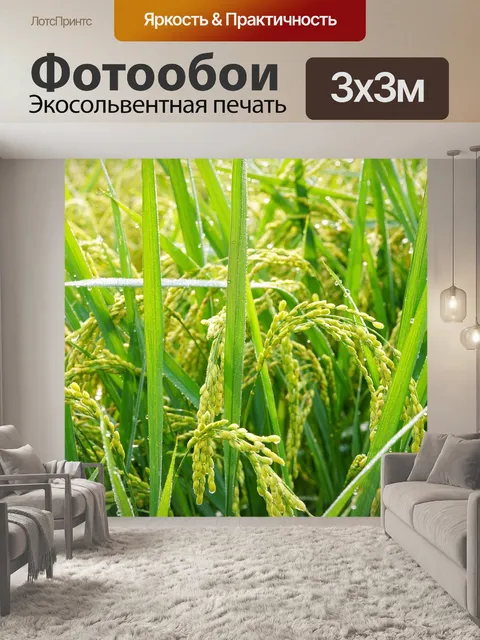 Фотообои Росы