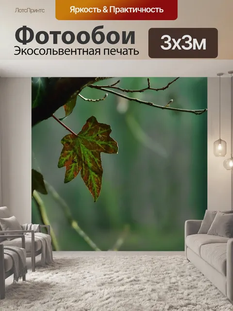 Фотообои Лист
