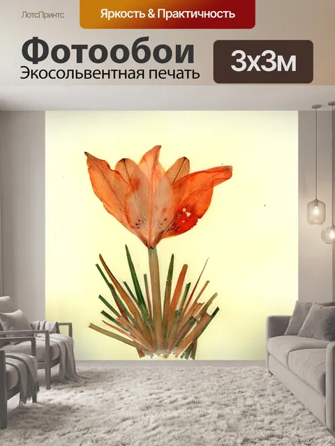 Фотообои Цветы