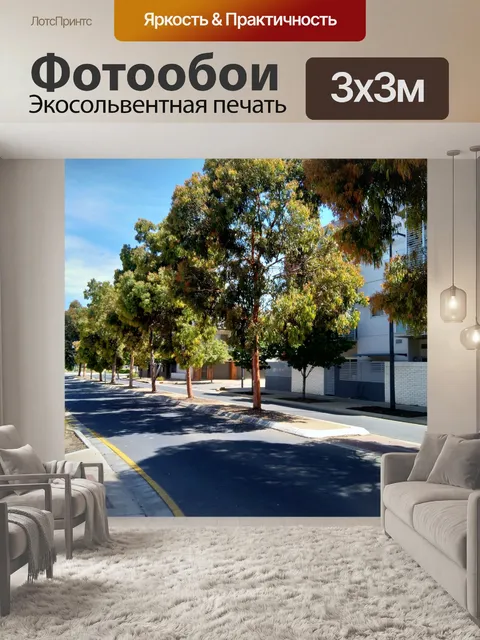 Фотообои Уличные деревья