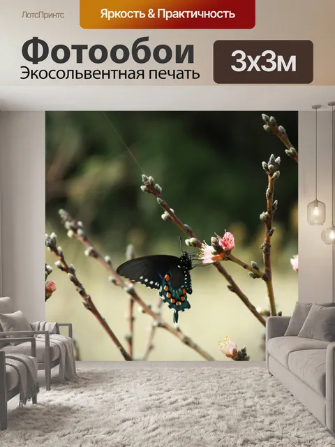 Фотообои Бабочка