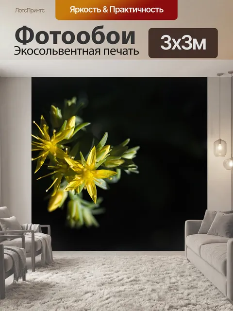 Фотообои Цветок