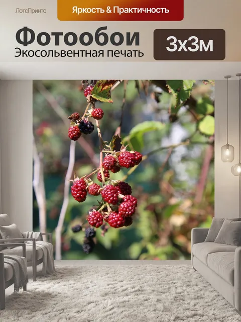 Фотообои Ягоды