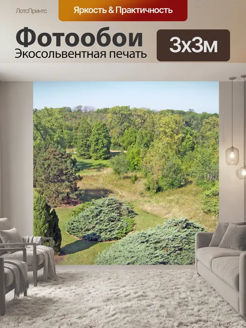 Фотообои Деревья в парке