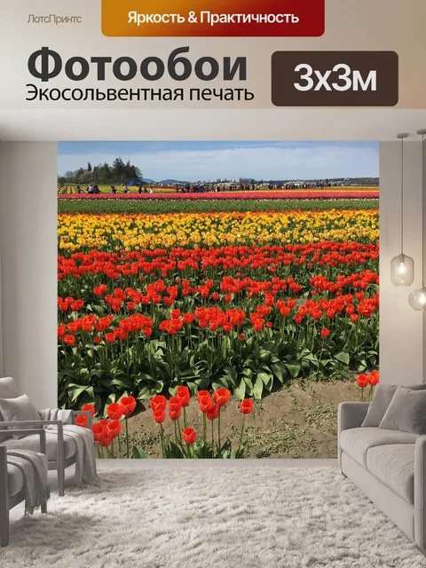 Фотообои Красный