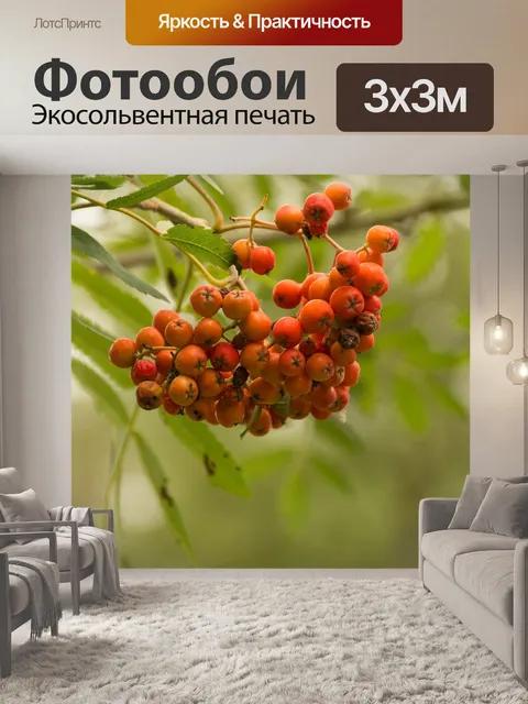 Фотообои Природа