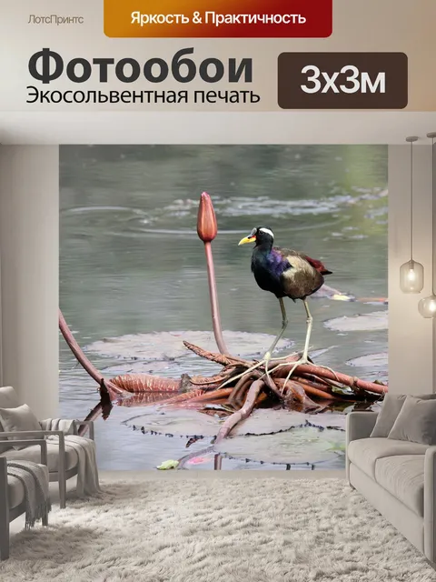 Фотообои Птица