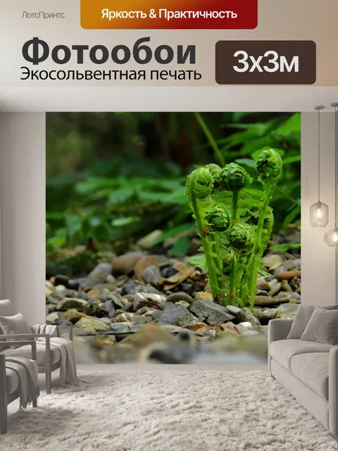 Фотообои Папоротник