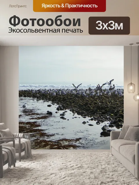 Фотообои морские птицы