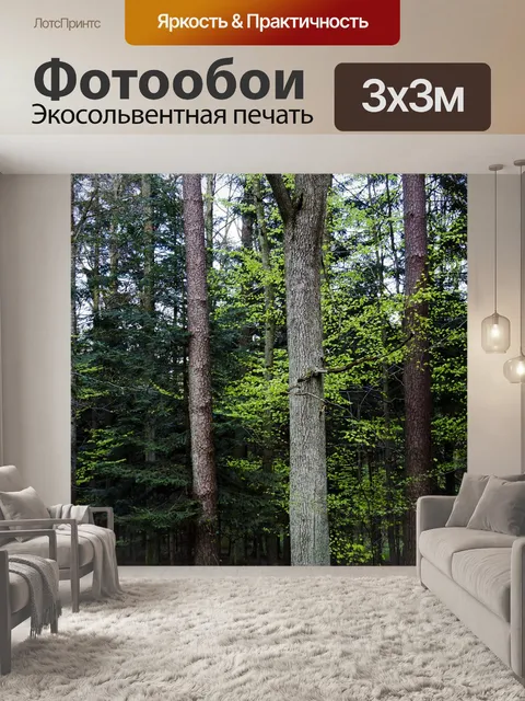 Фотообои Лес