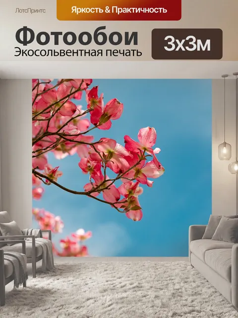 Фотообои Блоссом