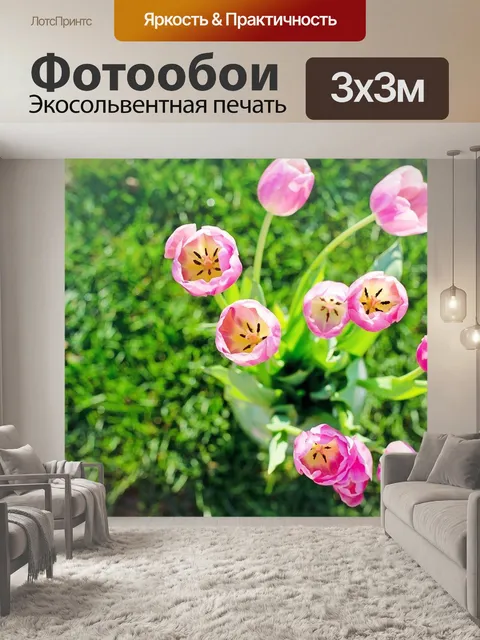 Фотообои Тюльпаны