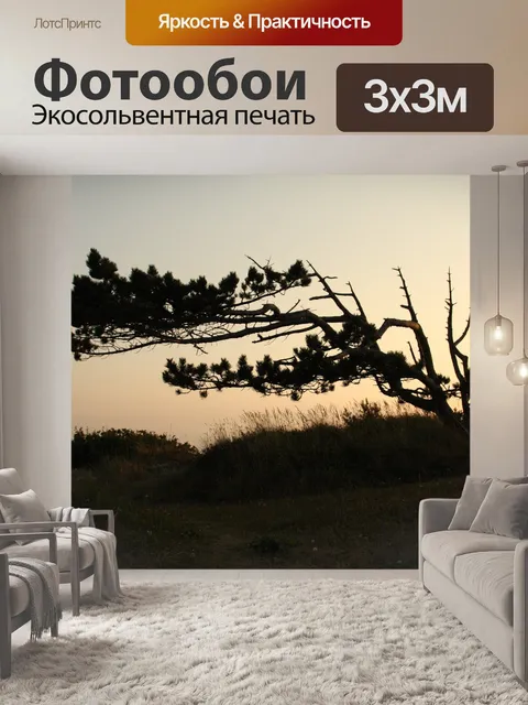 Фотообои Дерево