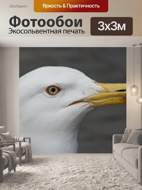 Фотообои Море