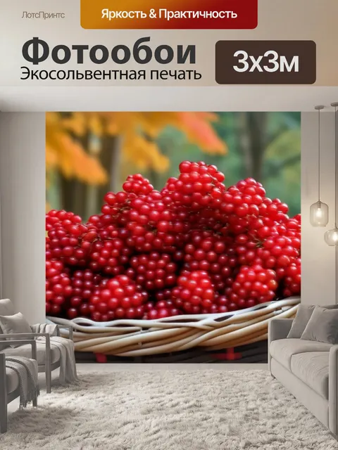Фотообои фрукты калины в корзине на фоне осеннего леса