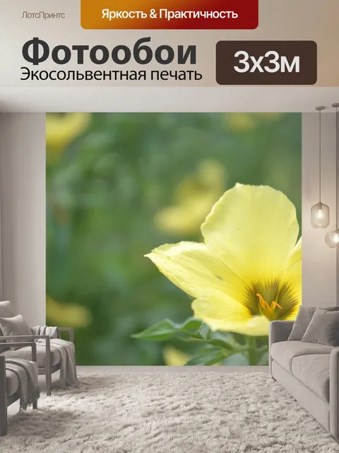 Фотообои Цветок