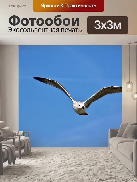 Фотообои Птица