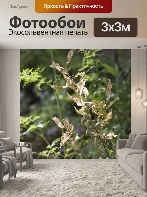 Фотообои Мокрый снег