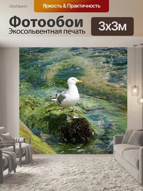 Фотообои Галл на скалах