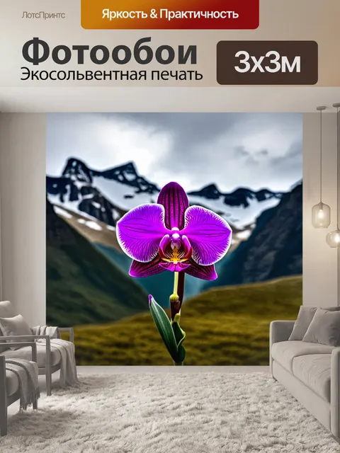 Фотообои орхидея на фоне горного пейзажа, где видны снежные вершины и облака