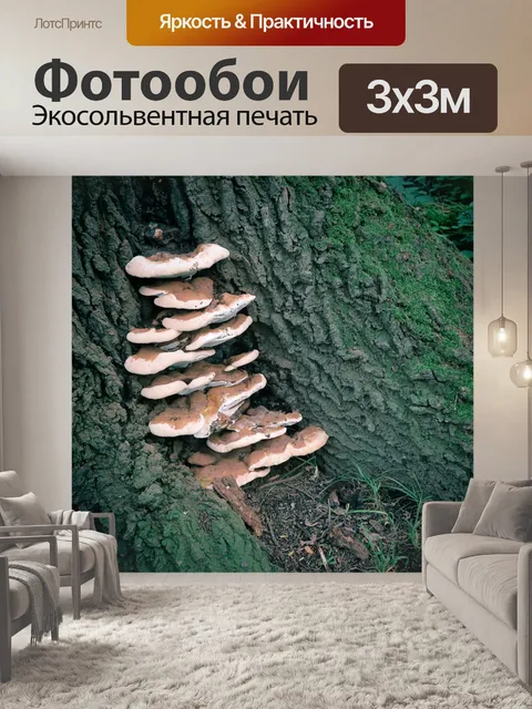 Фотообои Лес