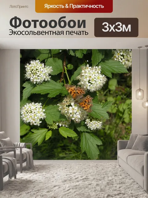 Фотообои Цветы