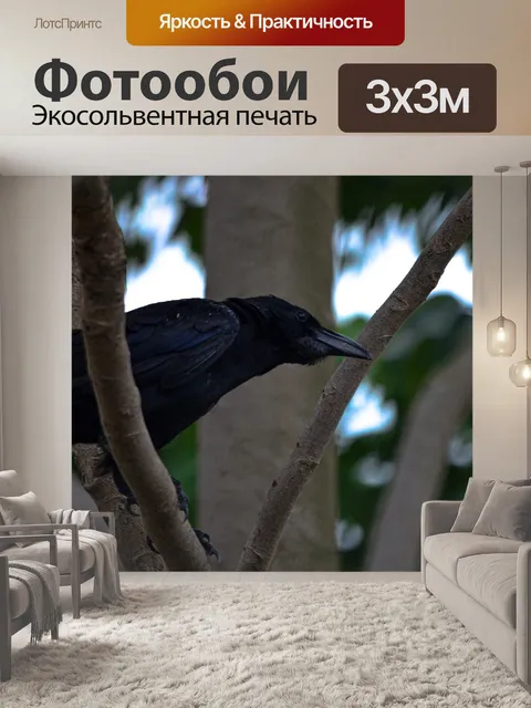 Фотообои Птица