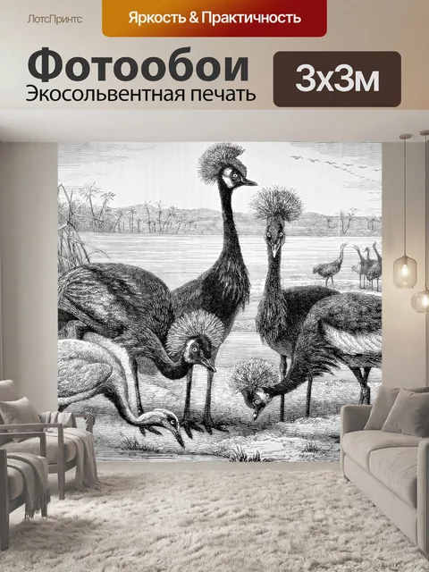 Фотообои Краны