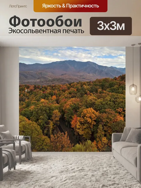 Фотообои Лес