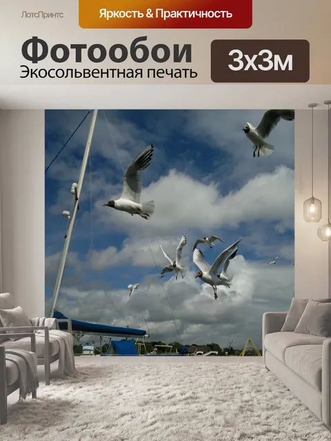Фотообои Птицы стекаются