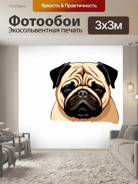 Фотообои в стиле минимализма, на белом фоне, у нас есть крупный план сонного мопса с закрытыми глазами, его уши нежно…