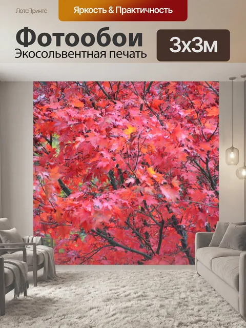 Фотообои Ветви