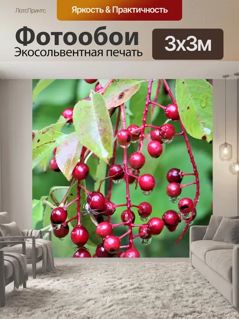 Фотообои Дерево