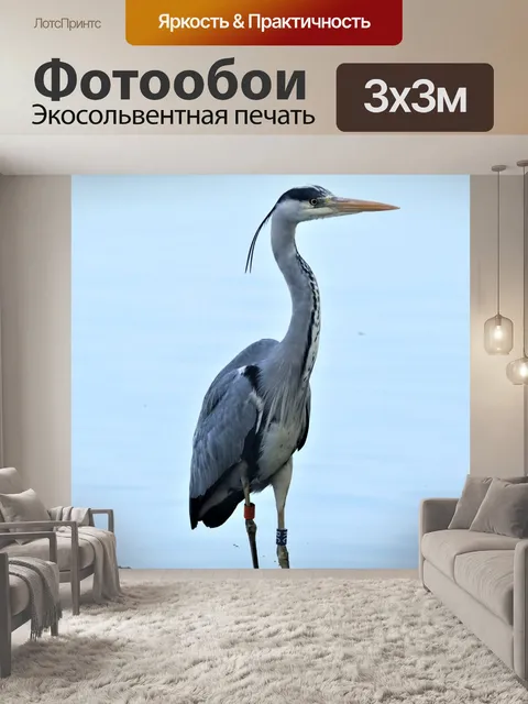 Фотообои Цапля