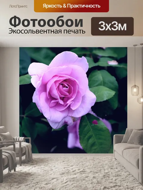 Фотообои Розы