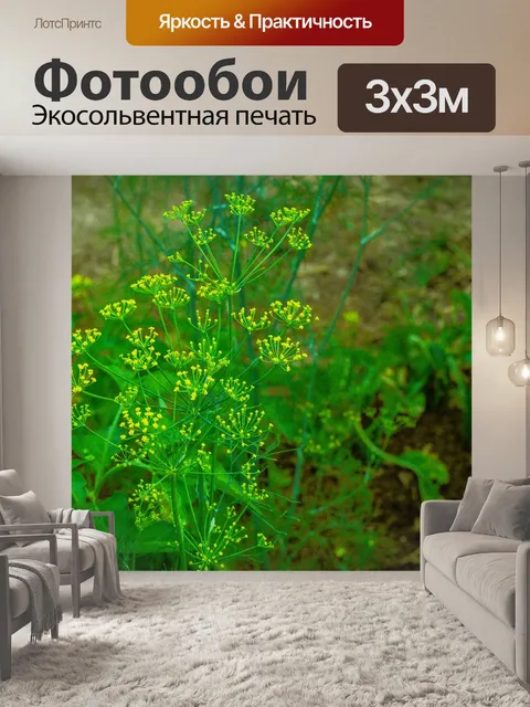 Фотообои Овощ