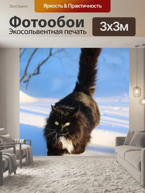 Фотообои Кошка