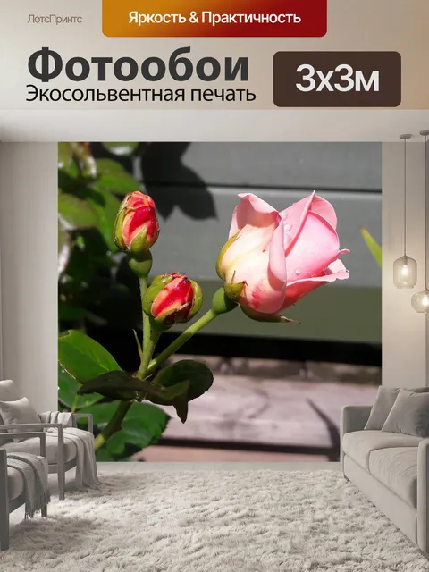 Фотообои Рось