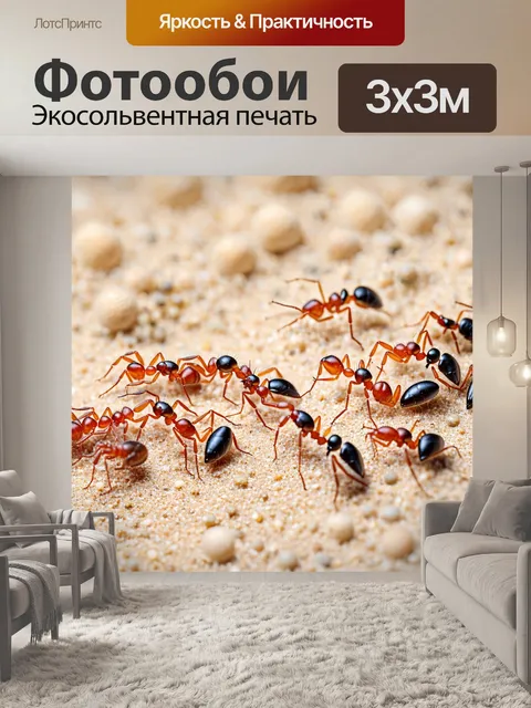 Фотообои животные в стиле минимализм с линиями, изображающими группу муравьев на песке