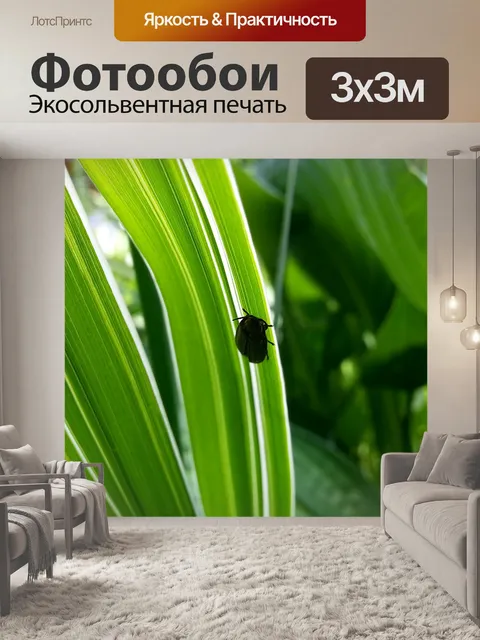 Фотообои Насекомое на зеленом листе